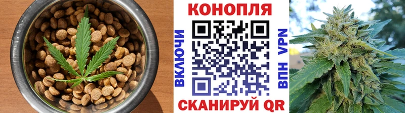 Купить где Назарово Canna-Cookies конопля