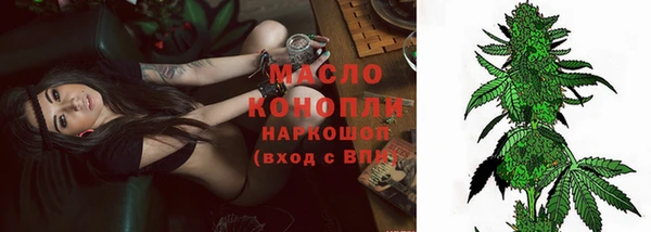 apvp Вяземский