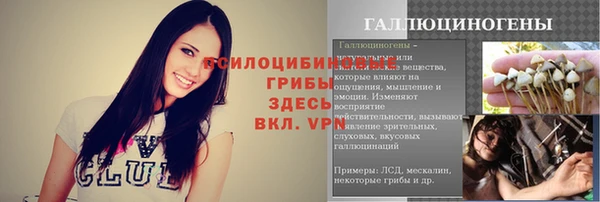 apvp Вяземский