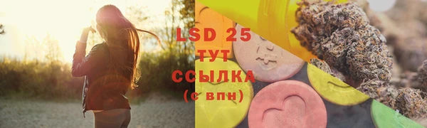 apvp Вяземский