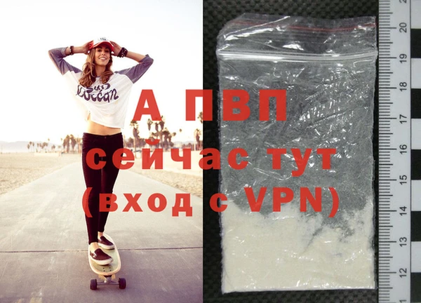 apvp Вяземский