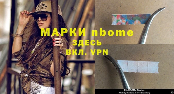 apvp Вяземский
