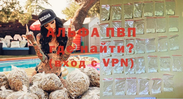 apvp Вяземский