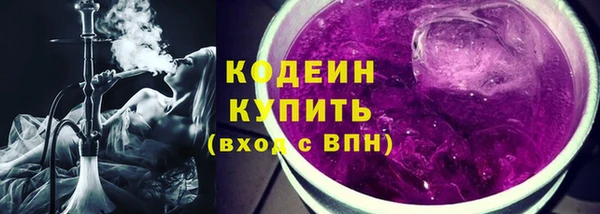 apvp Вяземский