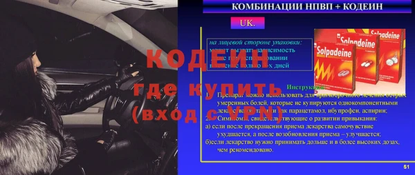 apvp Вяземский